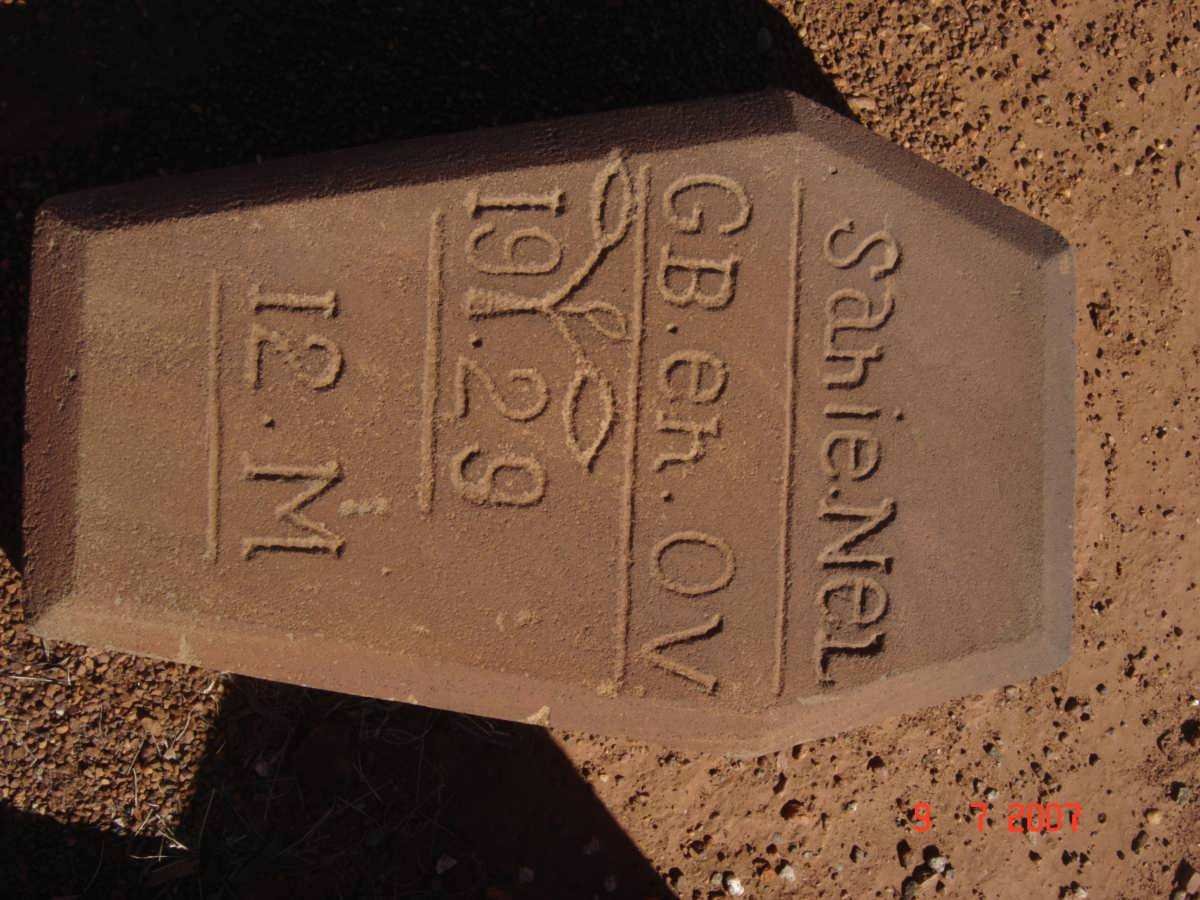 NEL Sanie 1929-1929