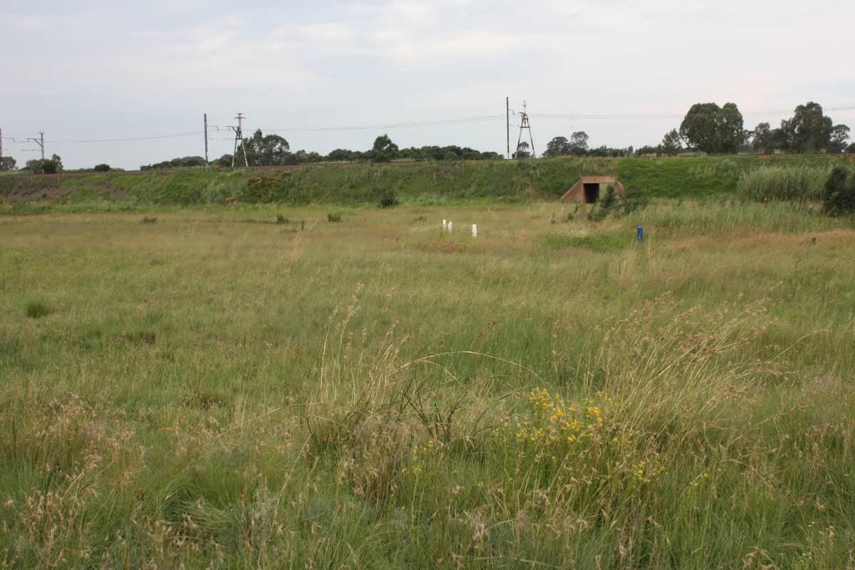 1. Overview