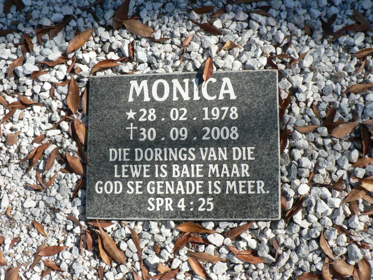 ? Monica 1978-2008
