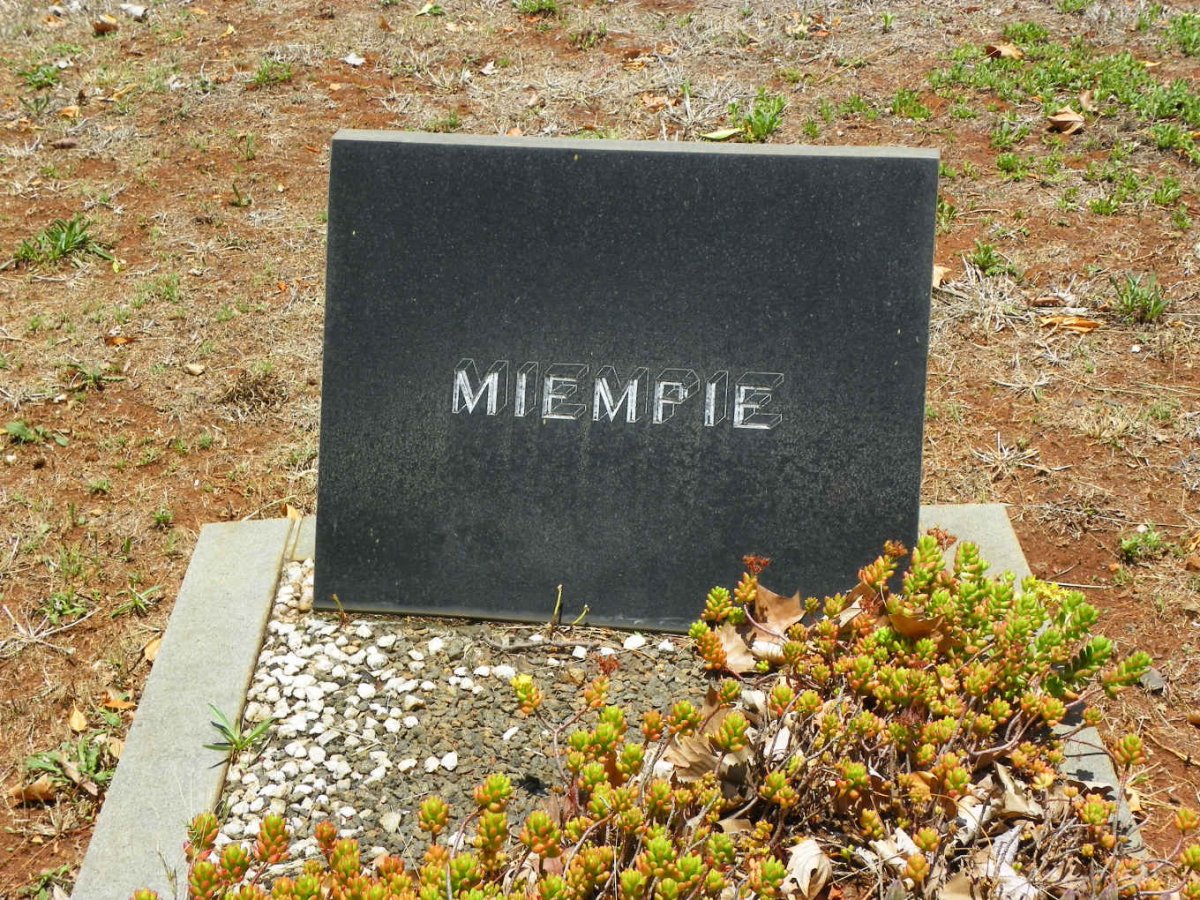 ? Miempie