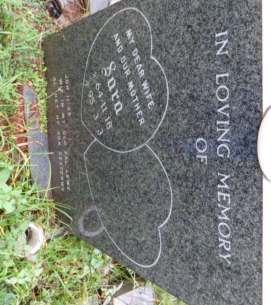? Sara 1964-1995