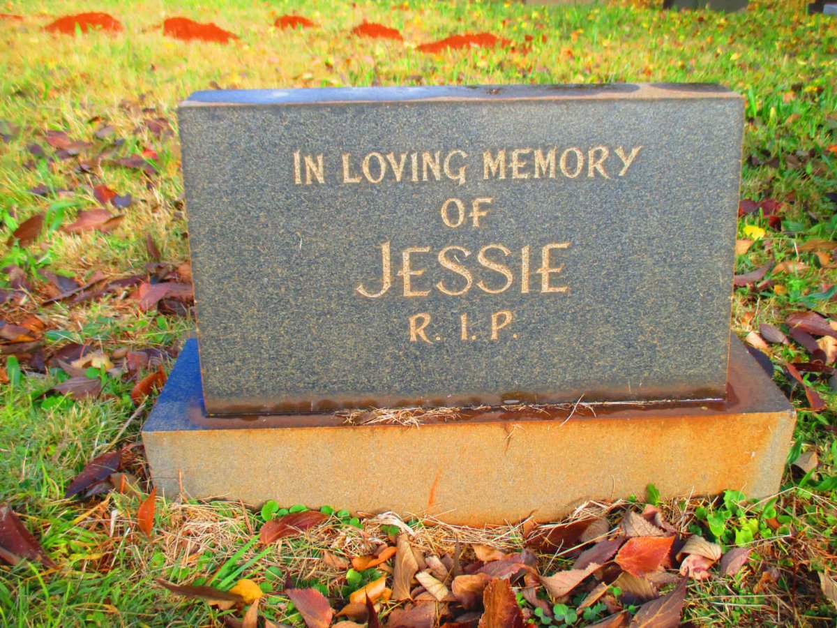 ? Jessie 