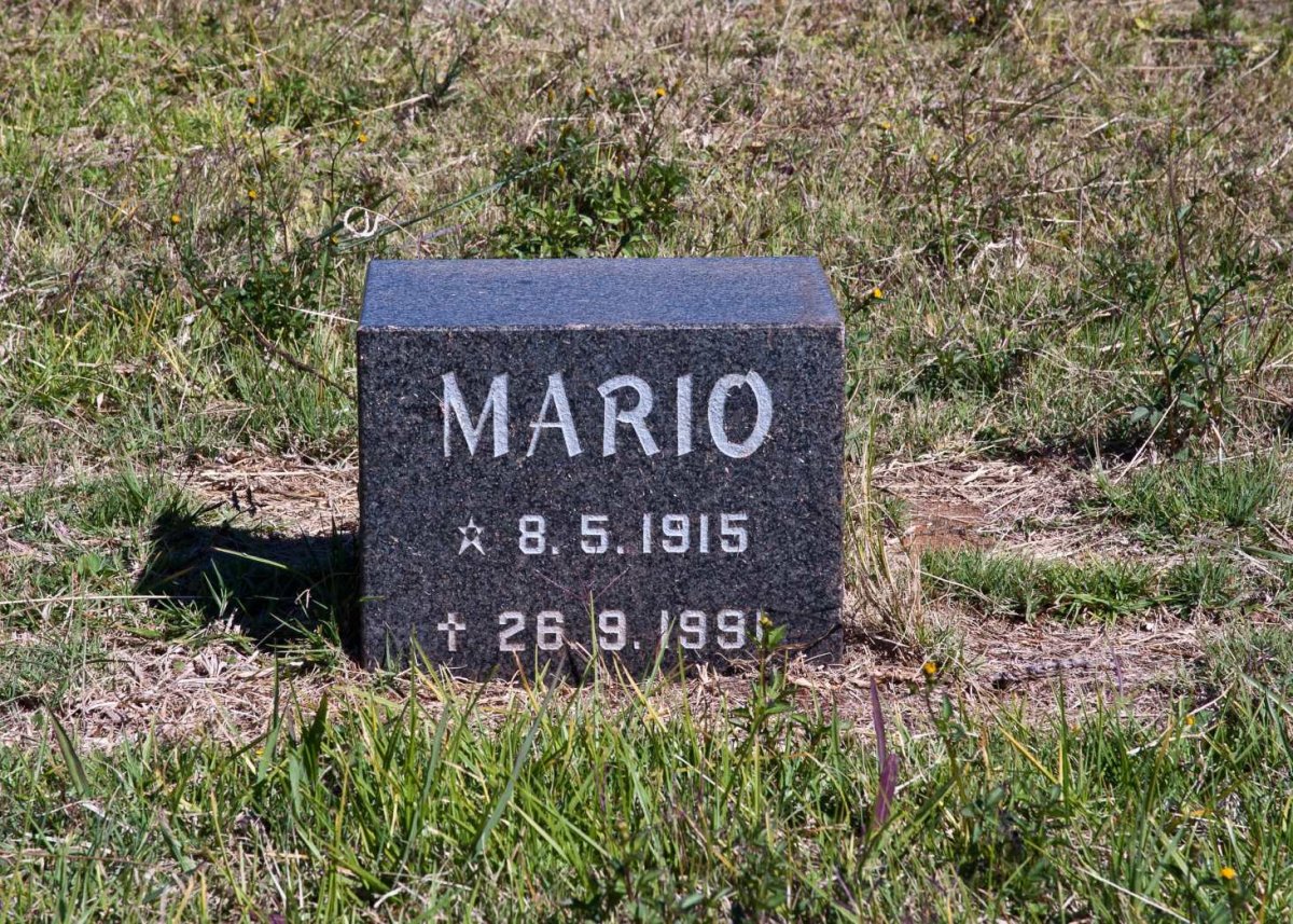 ? Mario 1915-1991