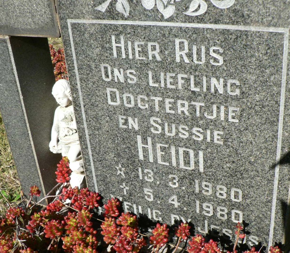 ? Heidi 1980-1980