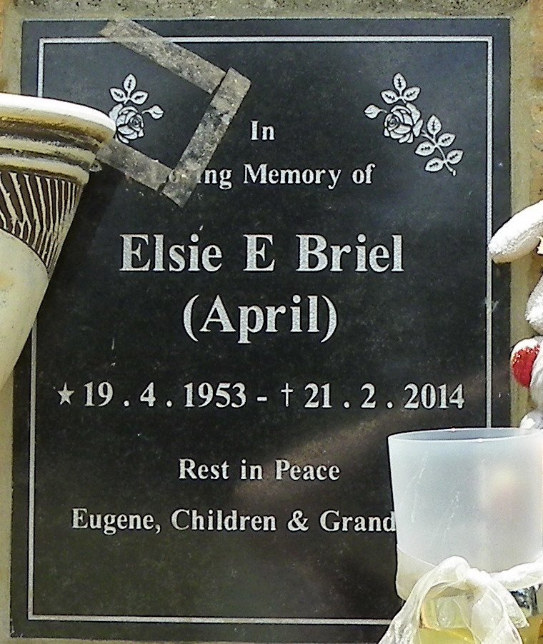 BRIEL Elsie E. 1953-2014