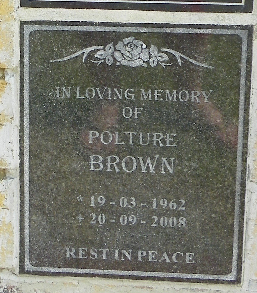 BROWN Polture 1962-2008