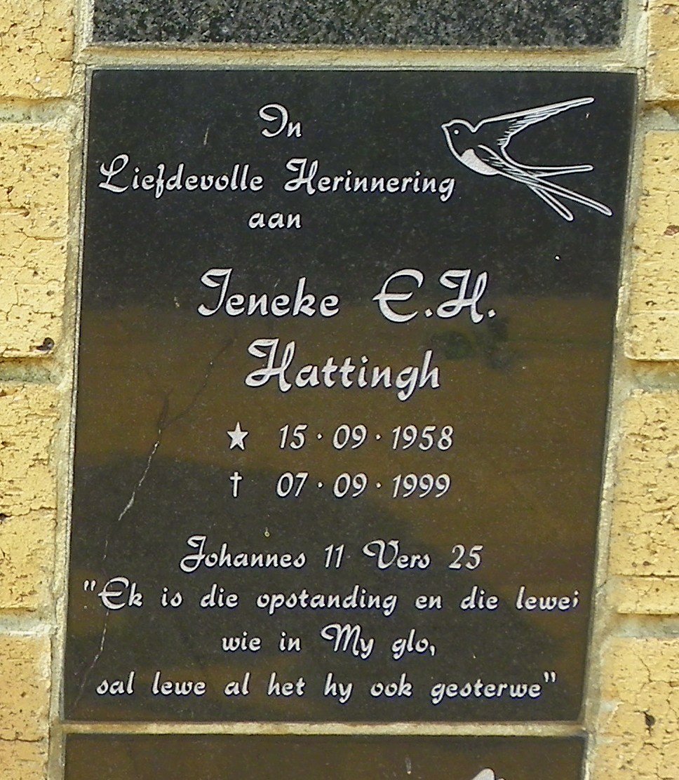 HATTINGH Jeneke E.H. 1958-1999