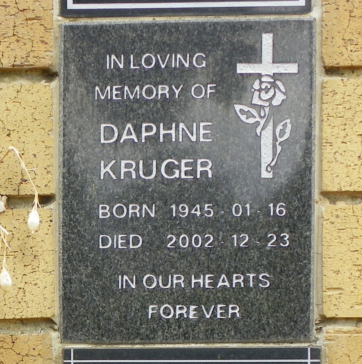 KRUGER Daphne 1945-2002