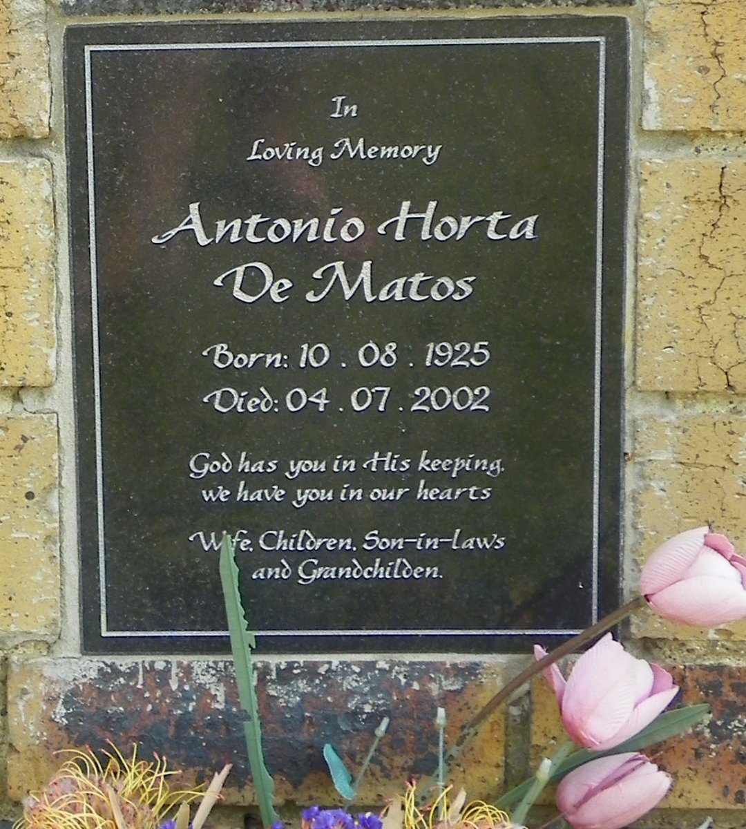 MATOS Antonio Horta, de 1925-2002
