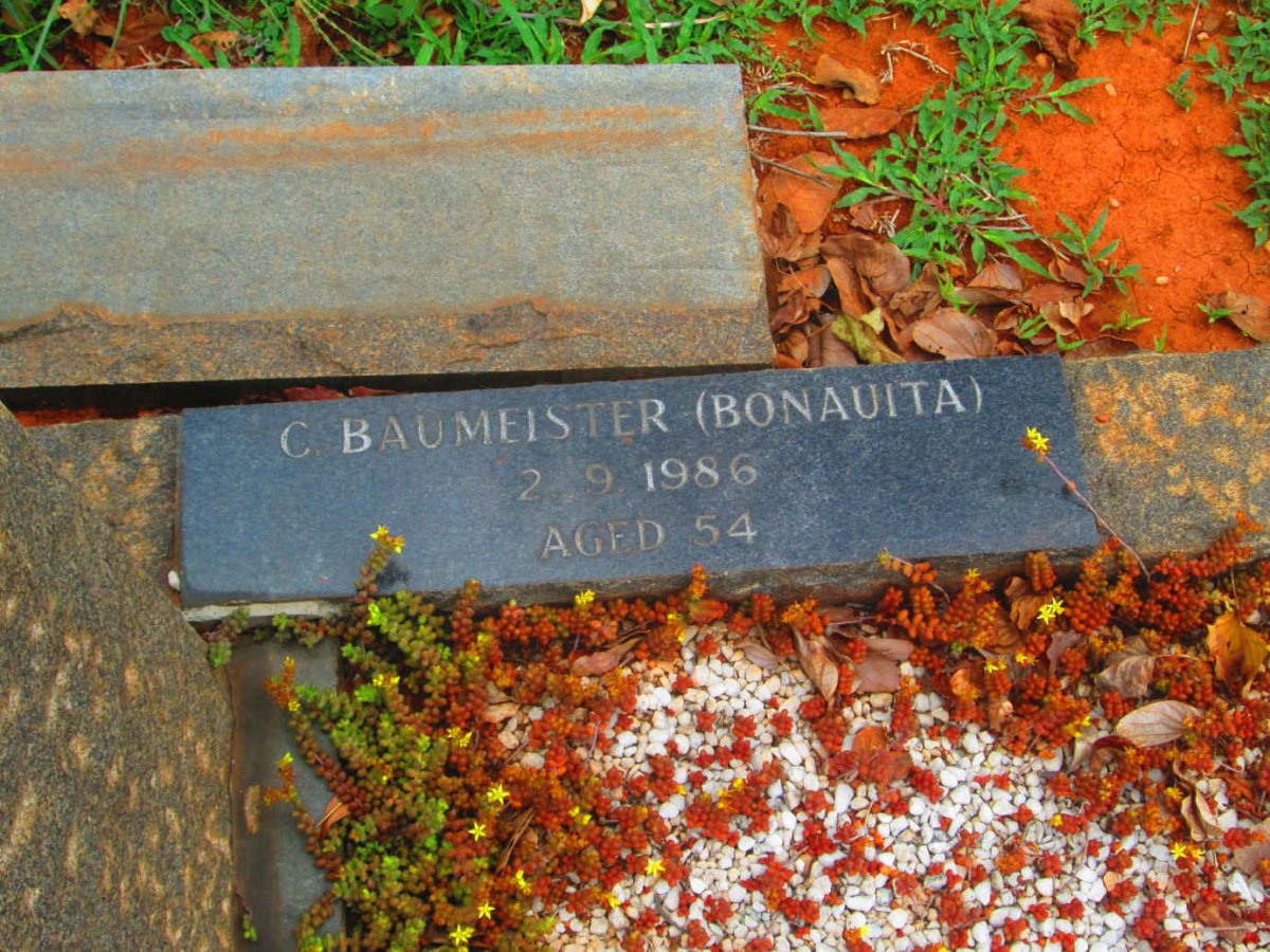 BAUMEISTER C. -1986