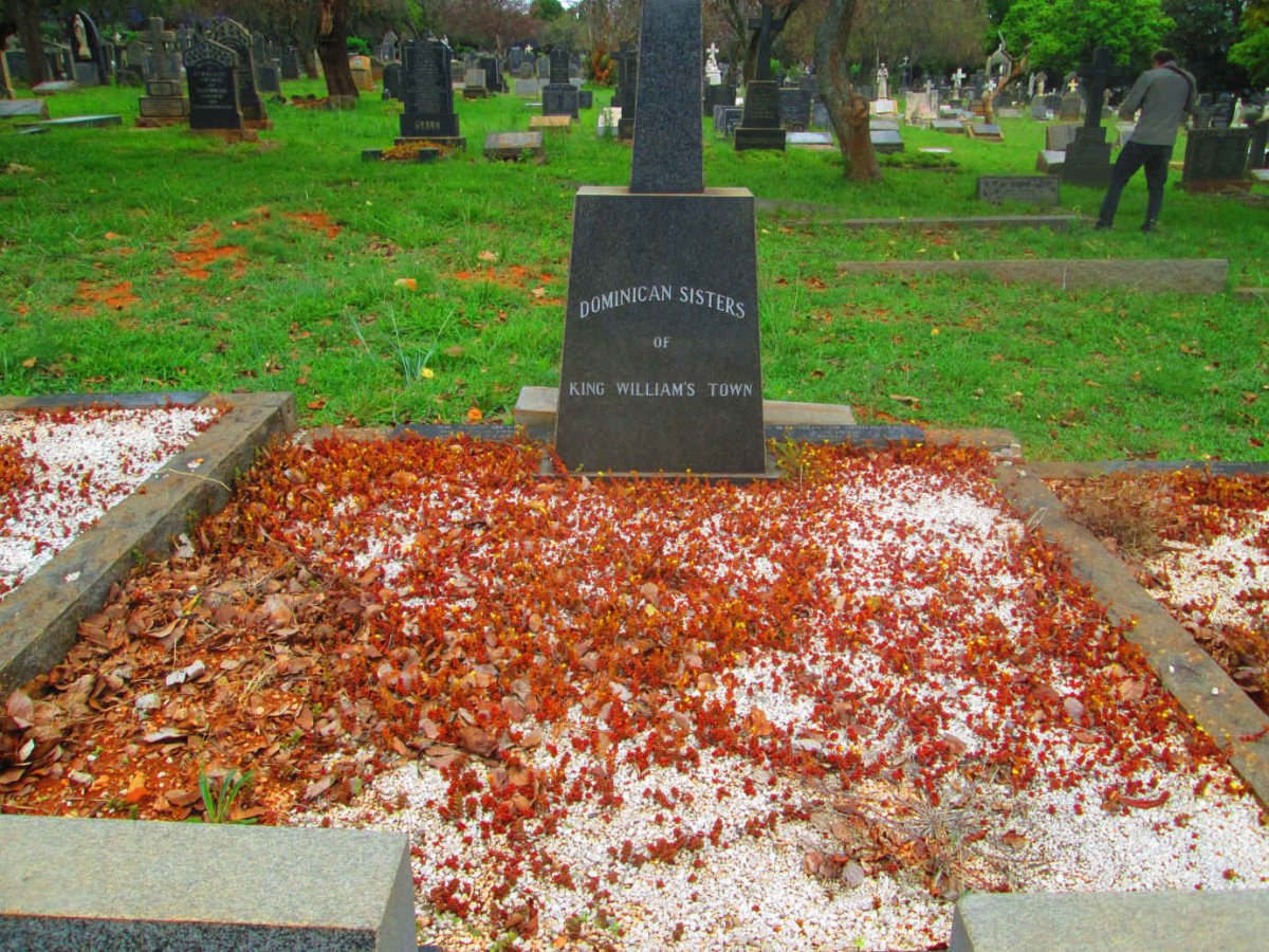 1. Overview / Oorsig Memorial for the Dominican Sisters of King William's Town