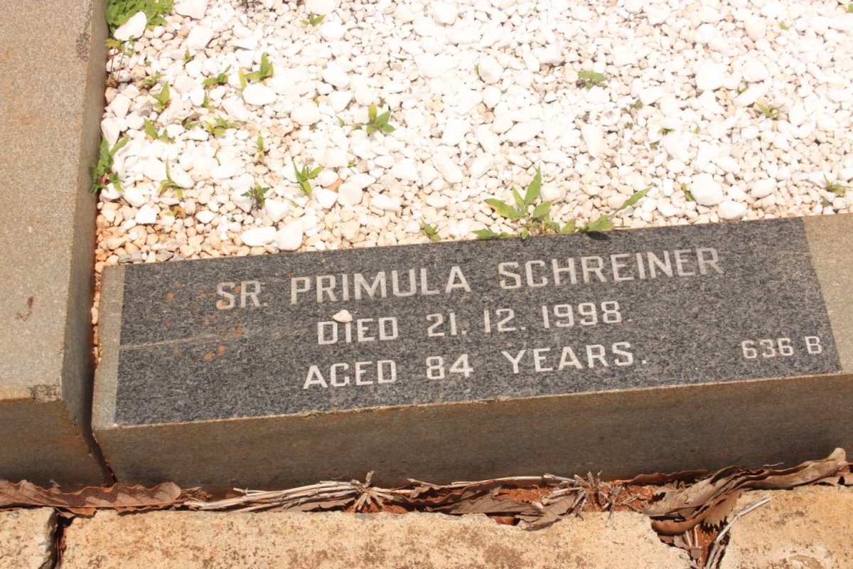 SCHREINER Primula -1998