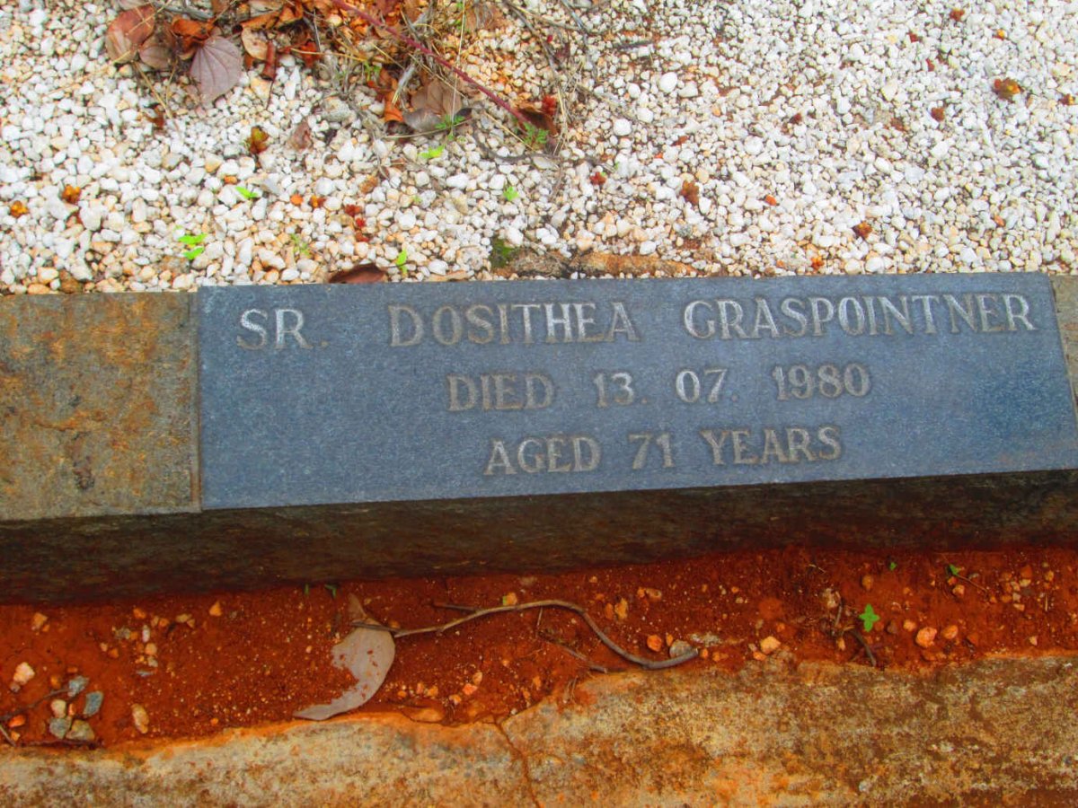 GRASPOINTNER Dosithea -1980