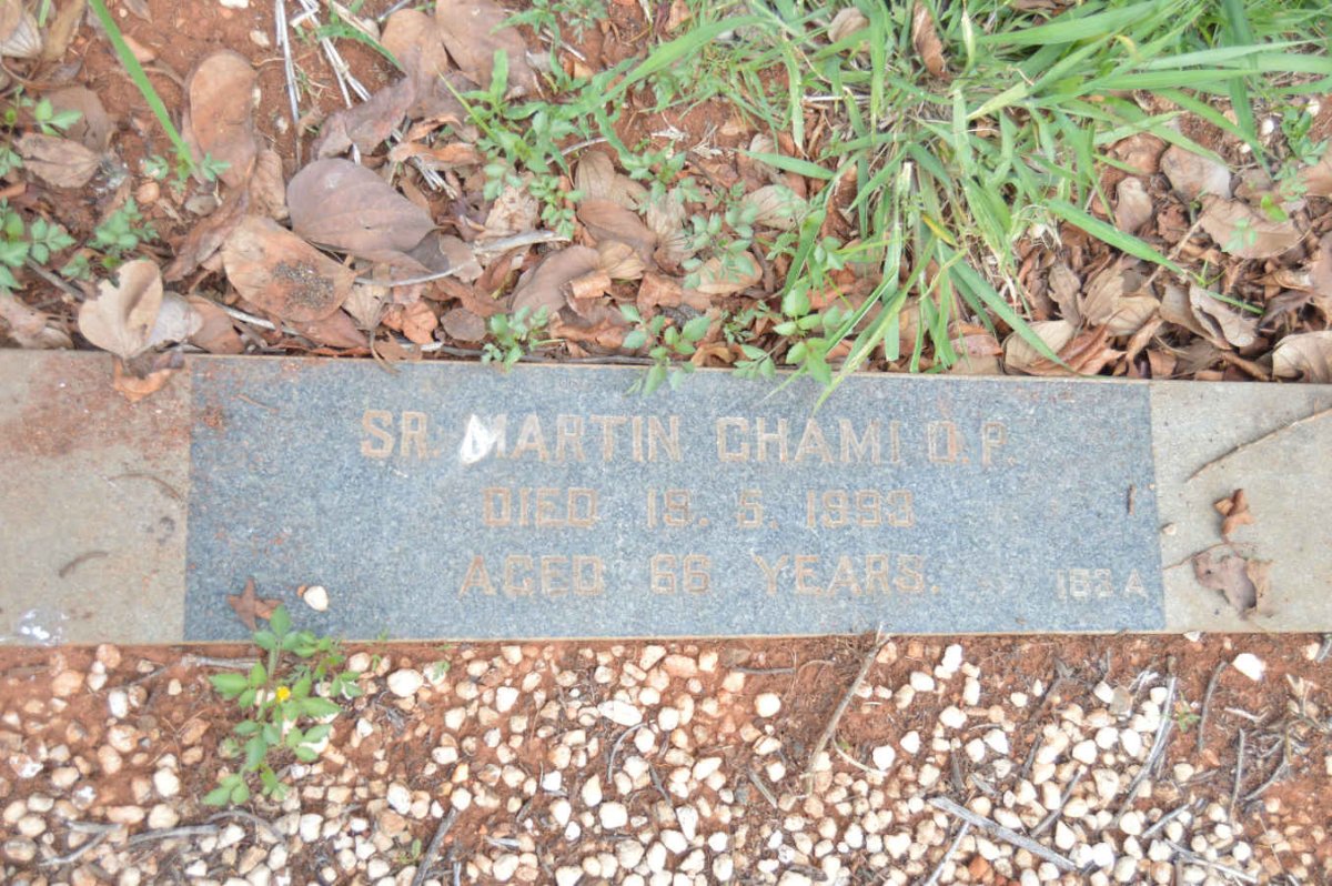CHAMI Martin -1993