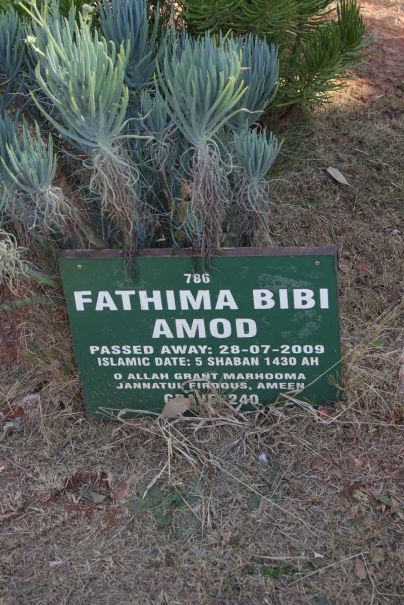 AMOD Fathima Bibi -2009
