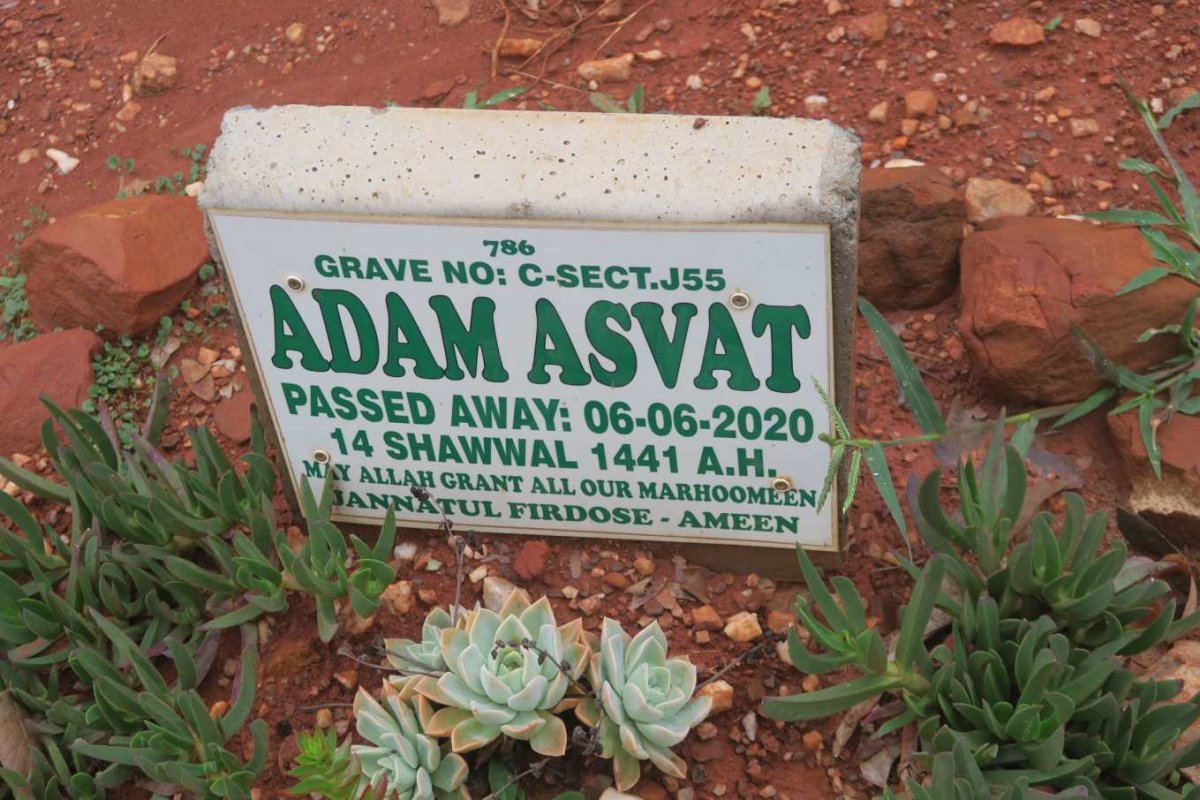 ASVAT Adam -2020