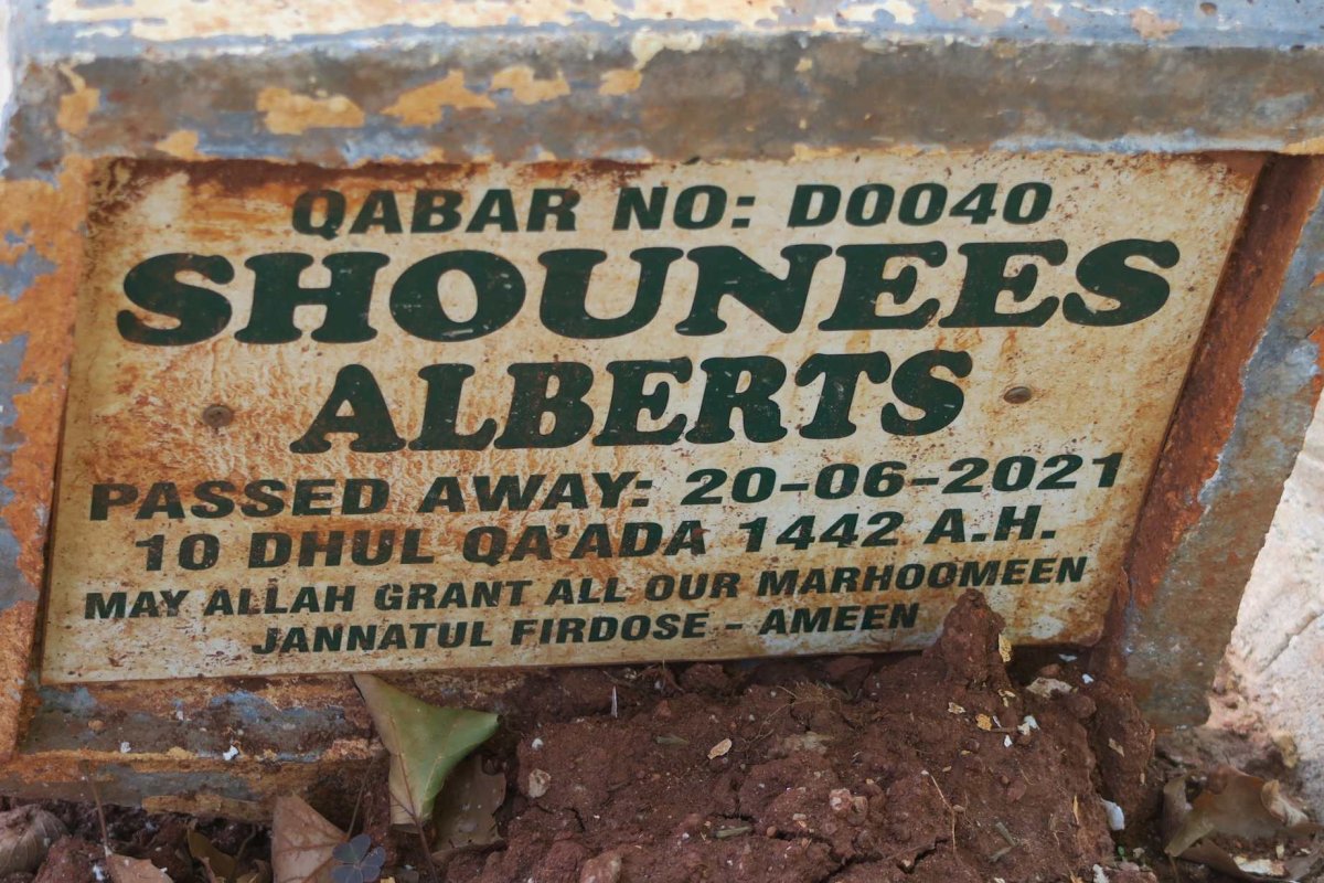 ALBERTS Shounees -2021