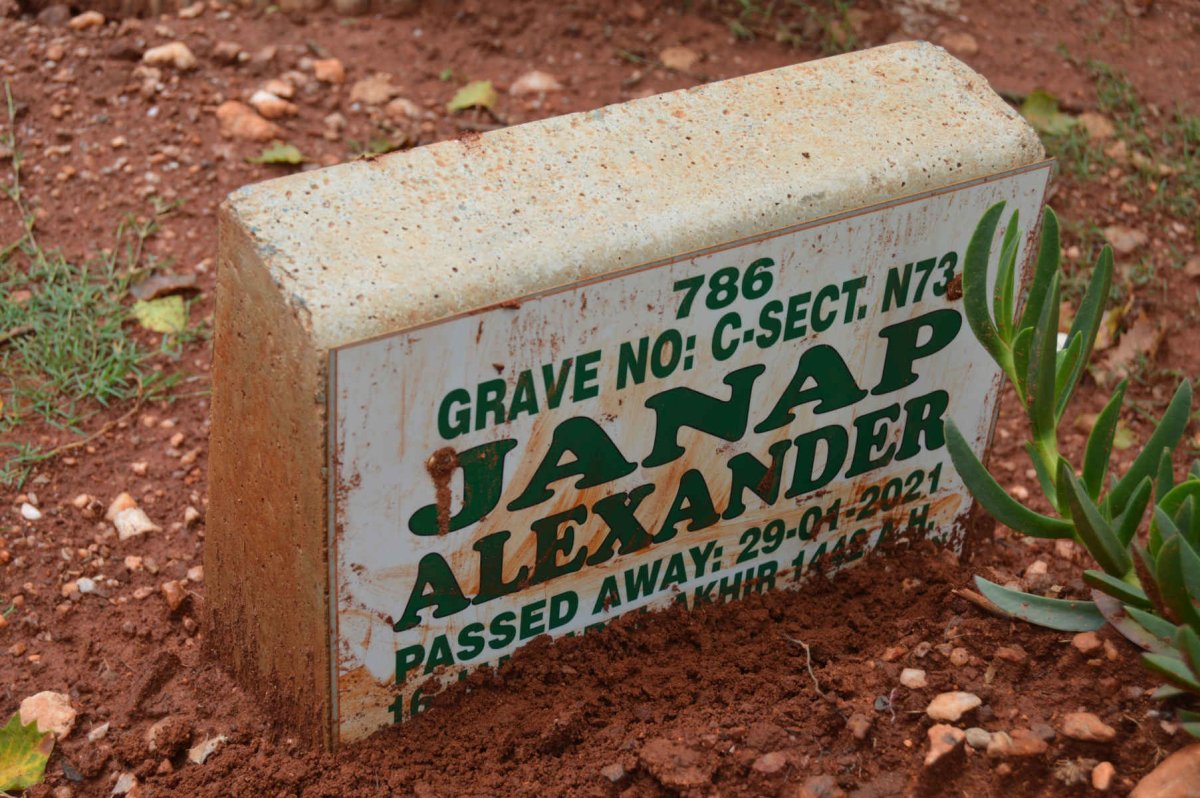 ALEXANDER Janap -2021