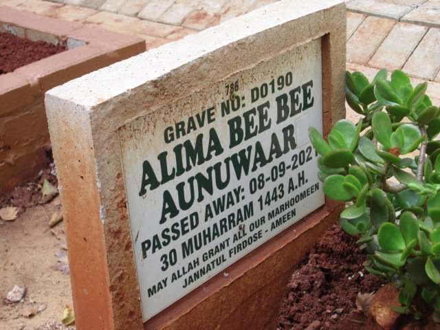 AUNUWAAR Alima Bee Bee -2021