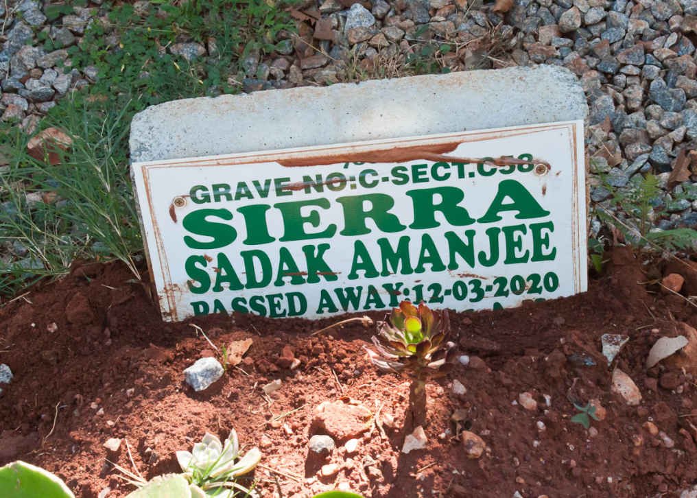AMANJEE Sierra Sadak -2020
