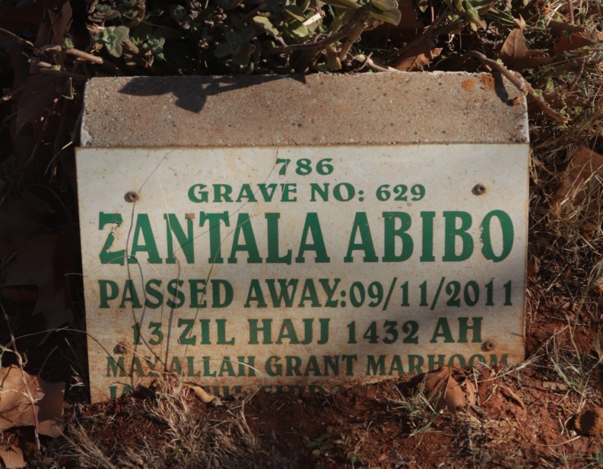 ABIBO Zantala -2011