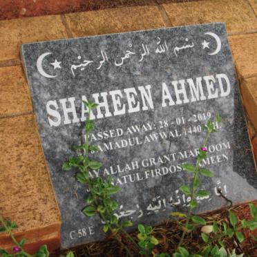 AHMED Shaheen -2019