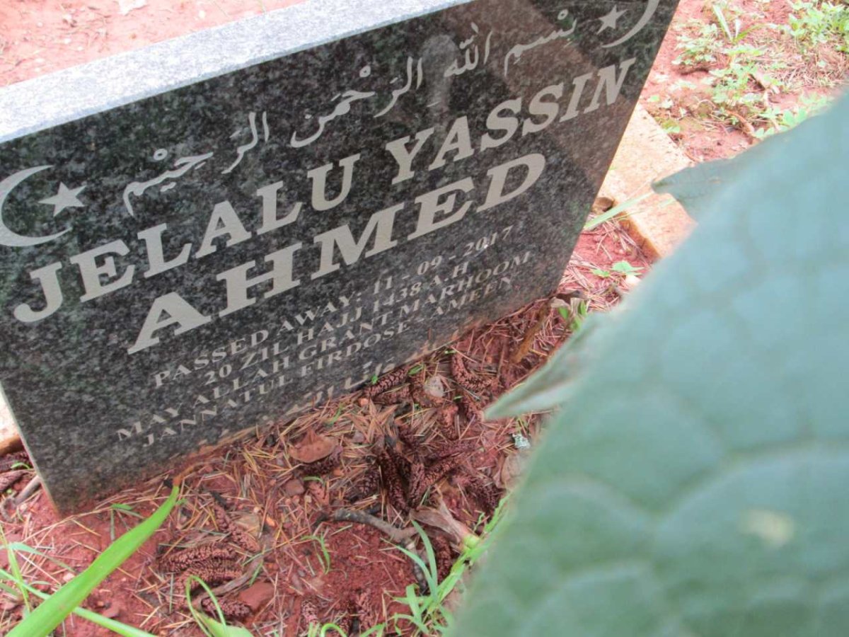 AHMED Jelalu Yassin -2017