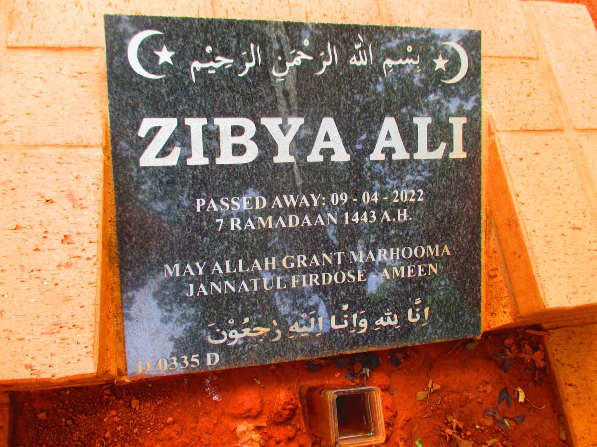 ALI Zibya -2022