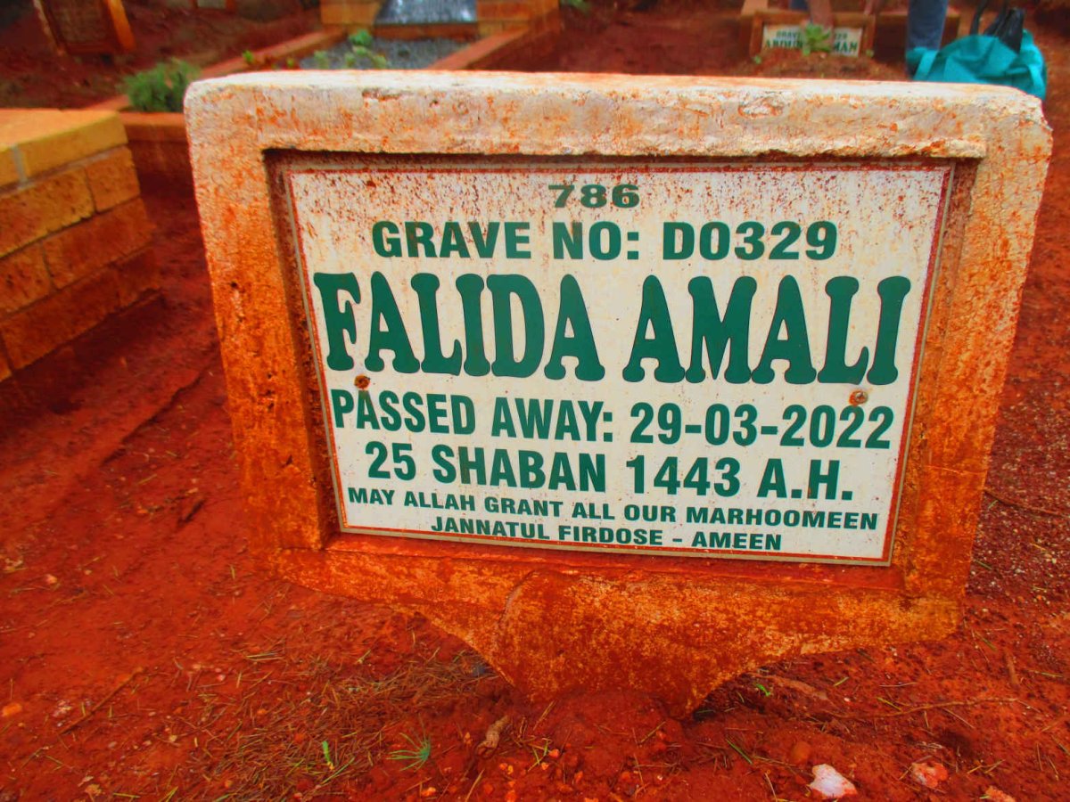 AMALI Falida -2022