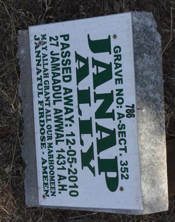 ALLY Janap -2010