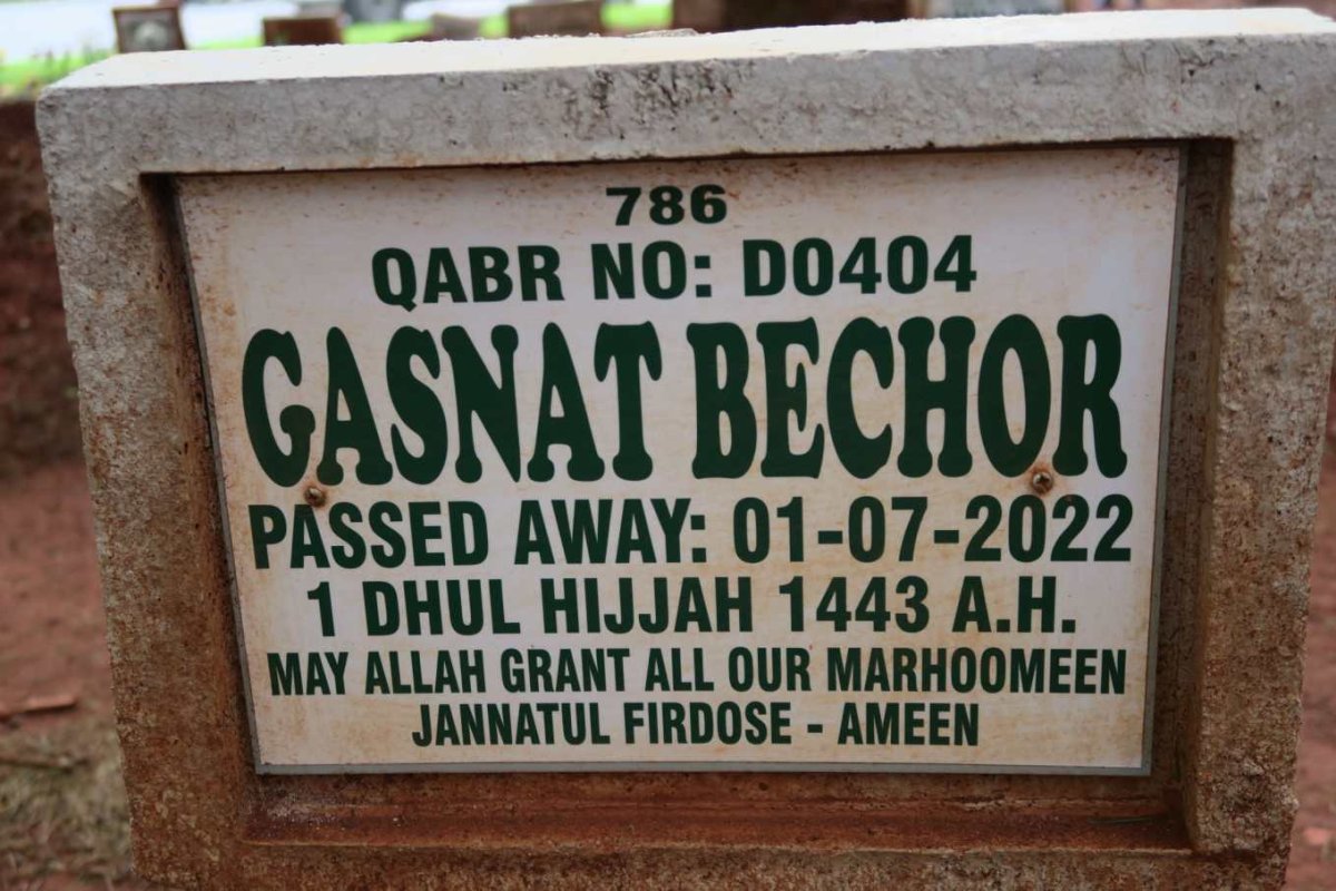 BECHOR Gasnat -2022