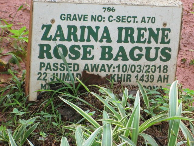 BAGUS Zarina Irene Rose -2018