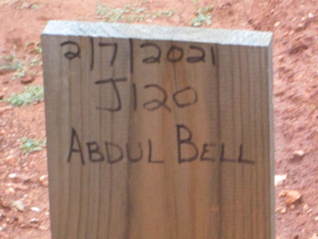 BELL Abdul -2021