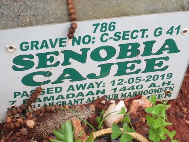 CAJEE Senobia -2019