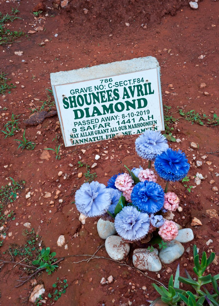 DIAMOND Shounees Avril -2019