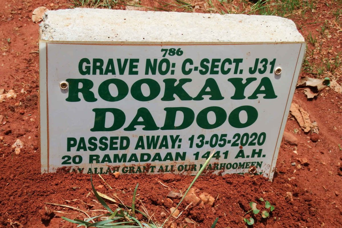 DADOO Rookaya -2020