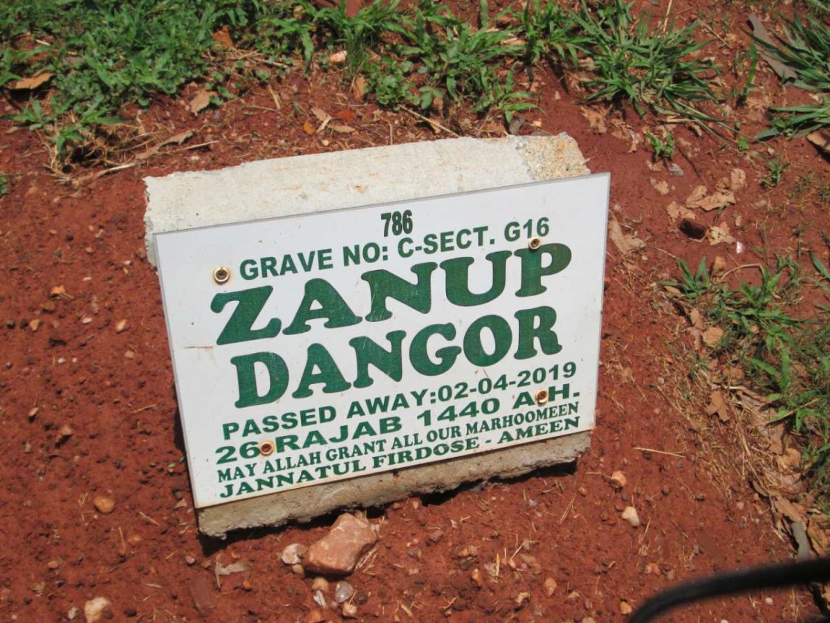 DANGOR Zanup -2019