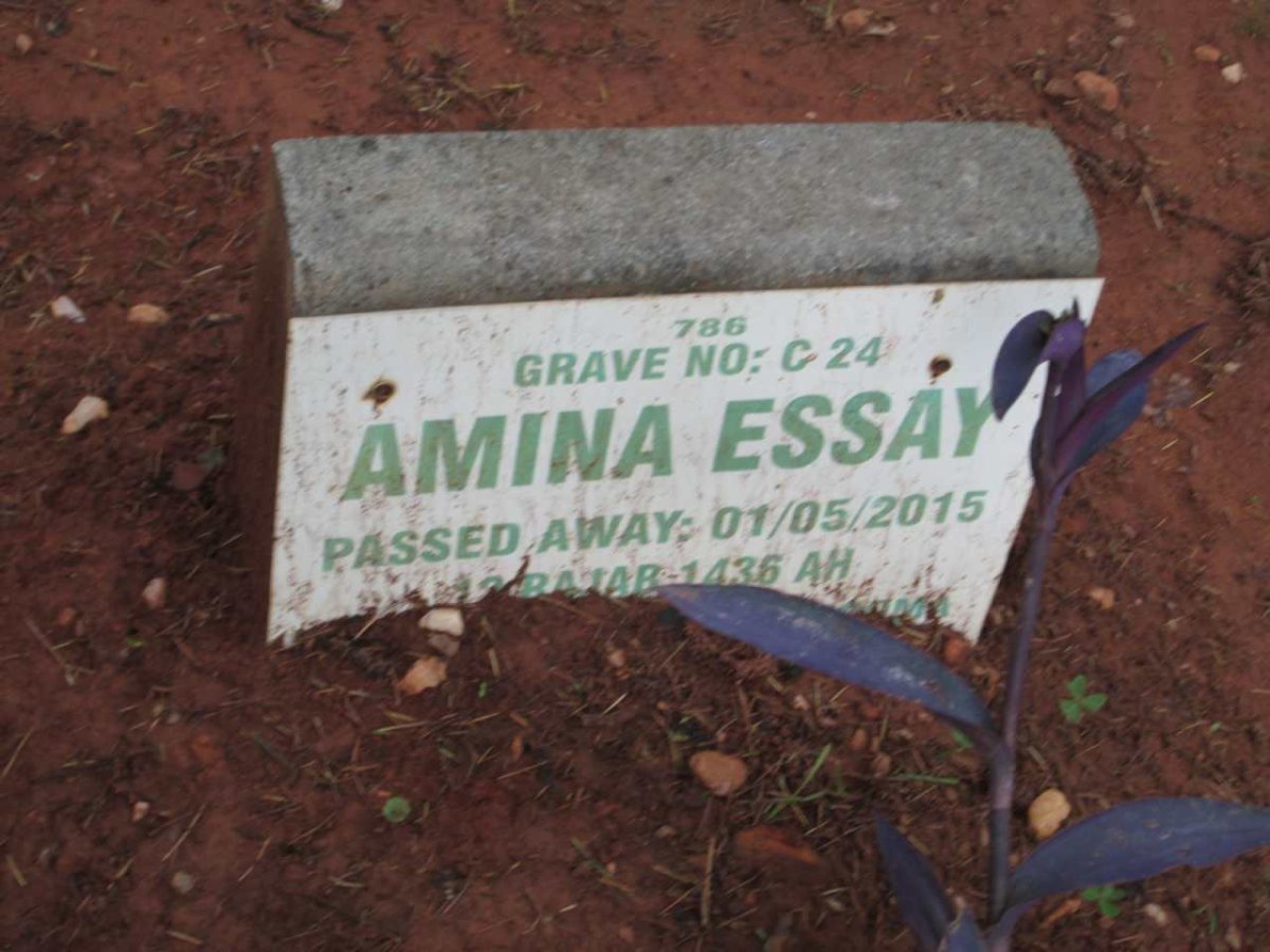 ESSAY Amina -2015