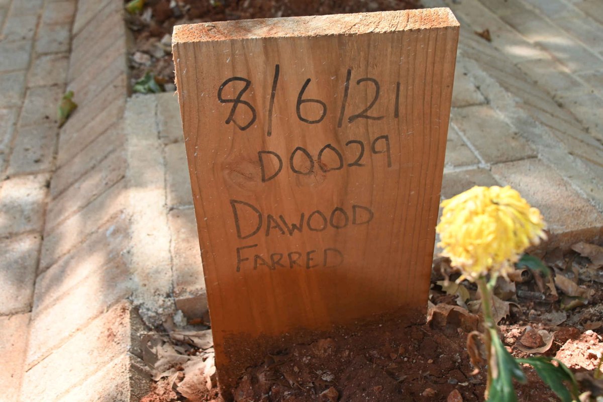 FARRED Dawood -2021