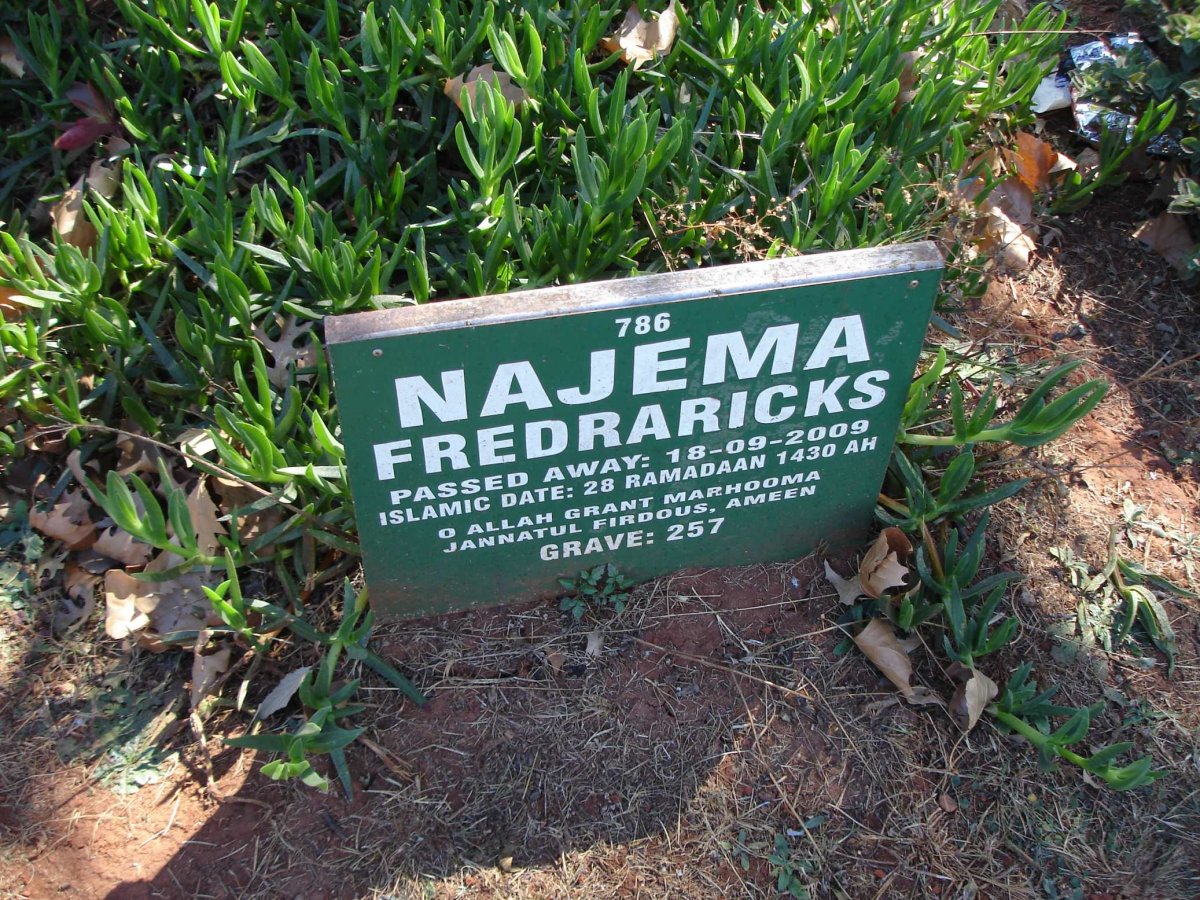 FREDRARICKS Najema -2009