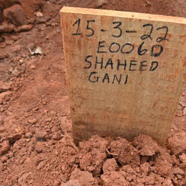 GANI Shadeed -2022