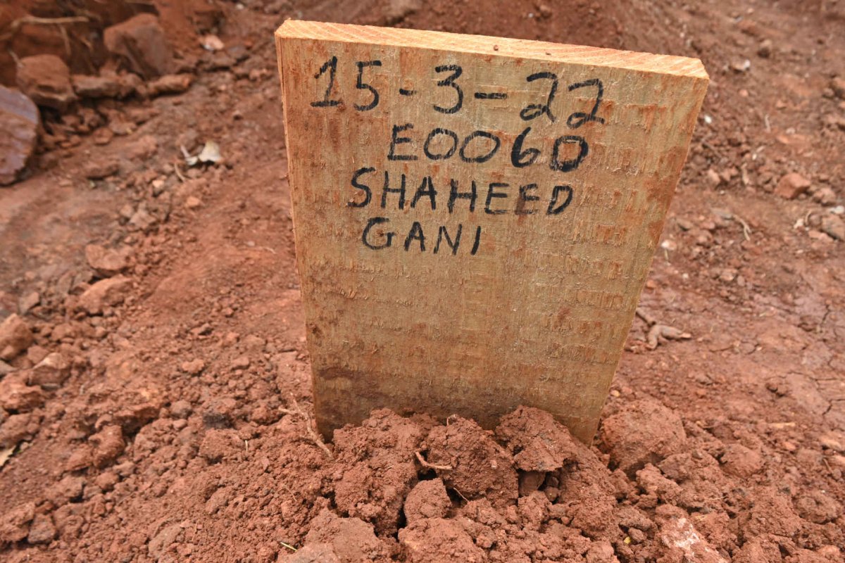 GANI Shadeed -2022
