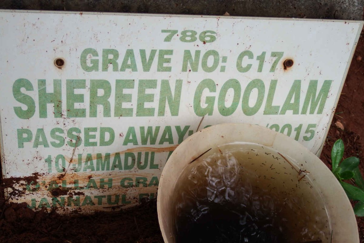 GOOLAM Shereen -2015