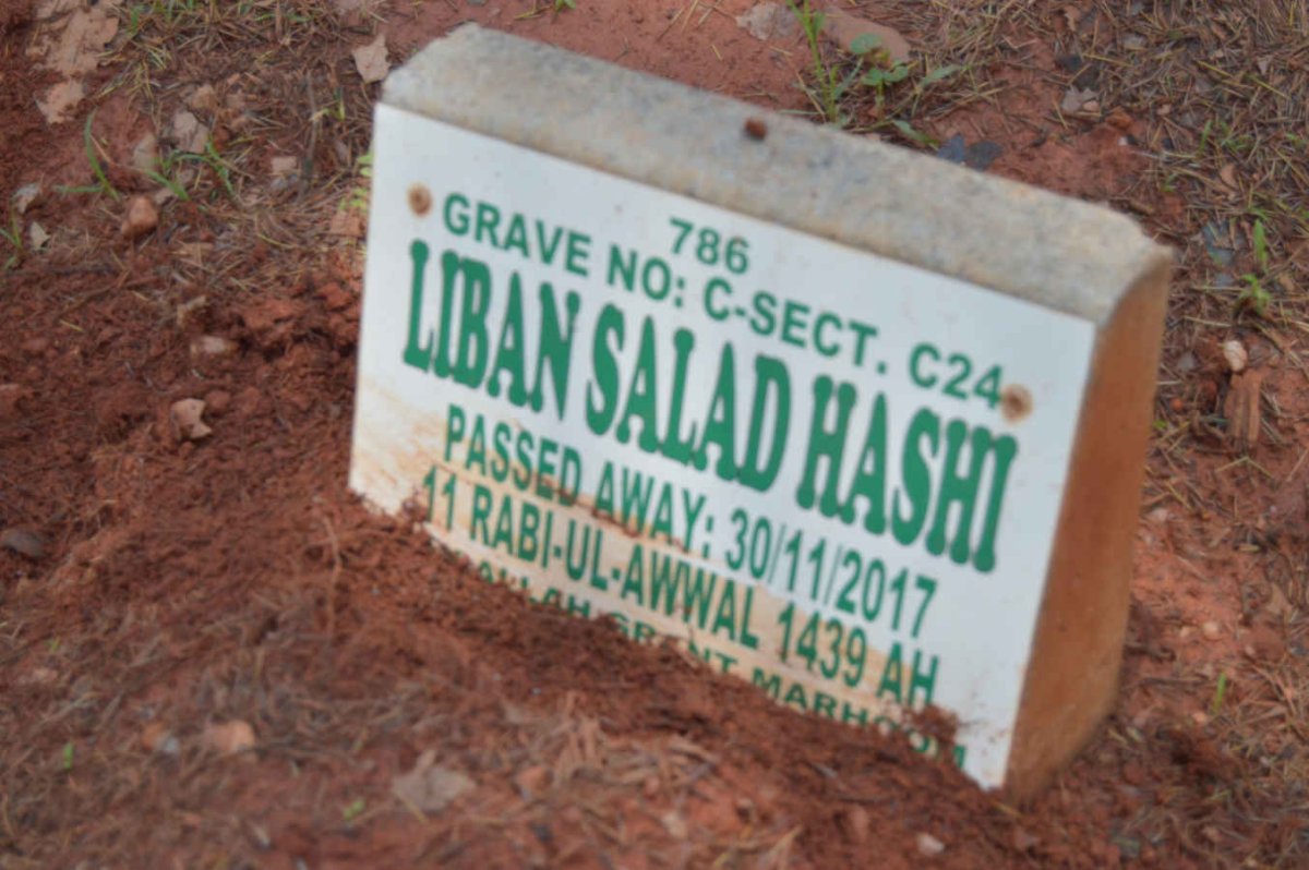 HASHI Liban Salad -2017