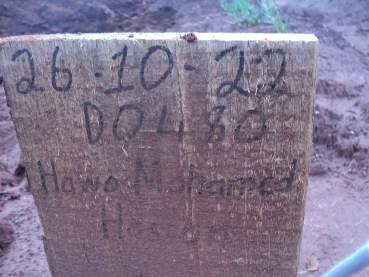 HASOON Hawo Mohamed -2022