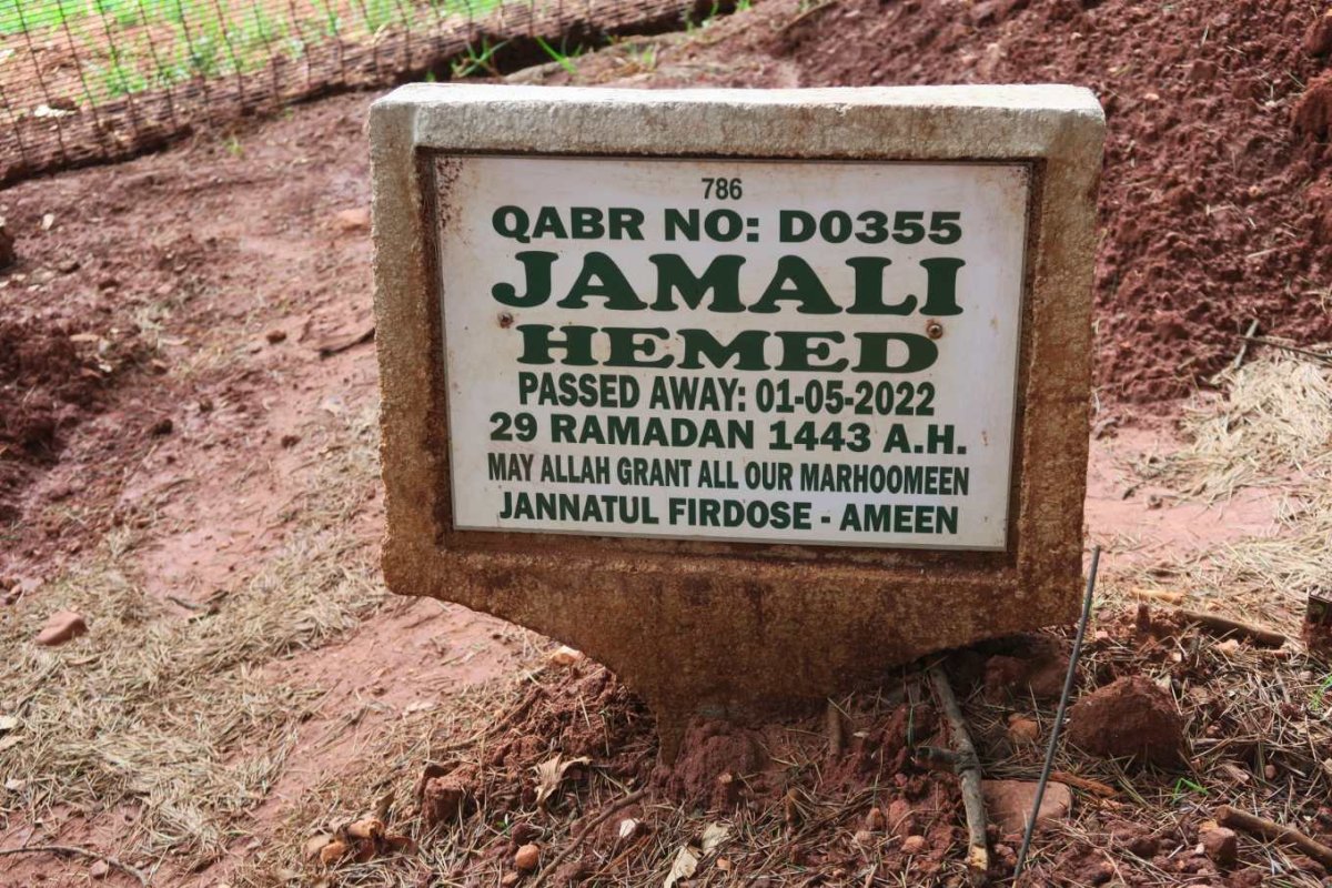 HEMED Jamali -2022