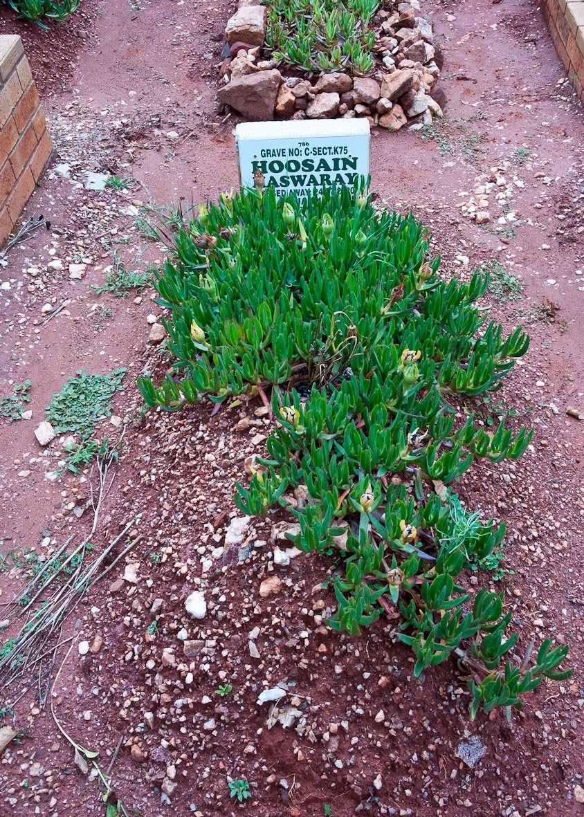 HASWARAY Hoosain -2020