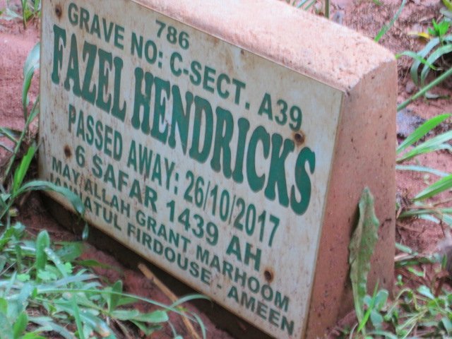 HENDRICKS Fazel -2017