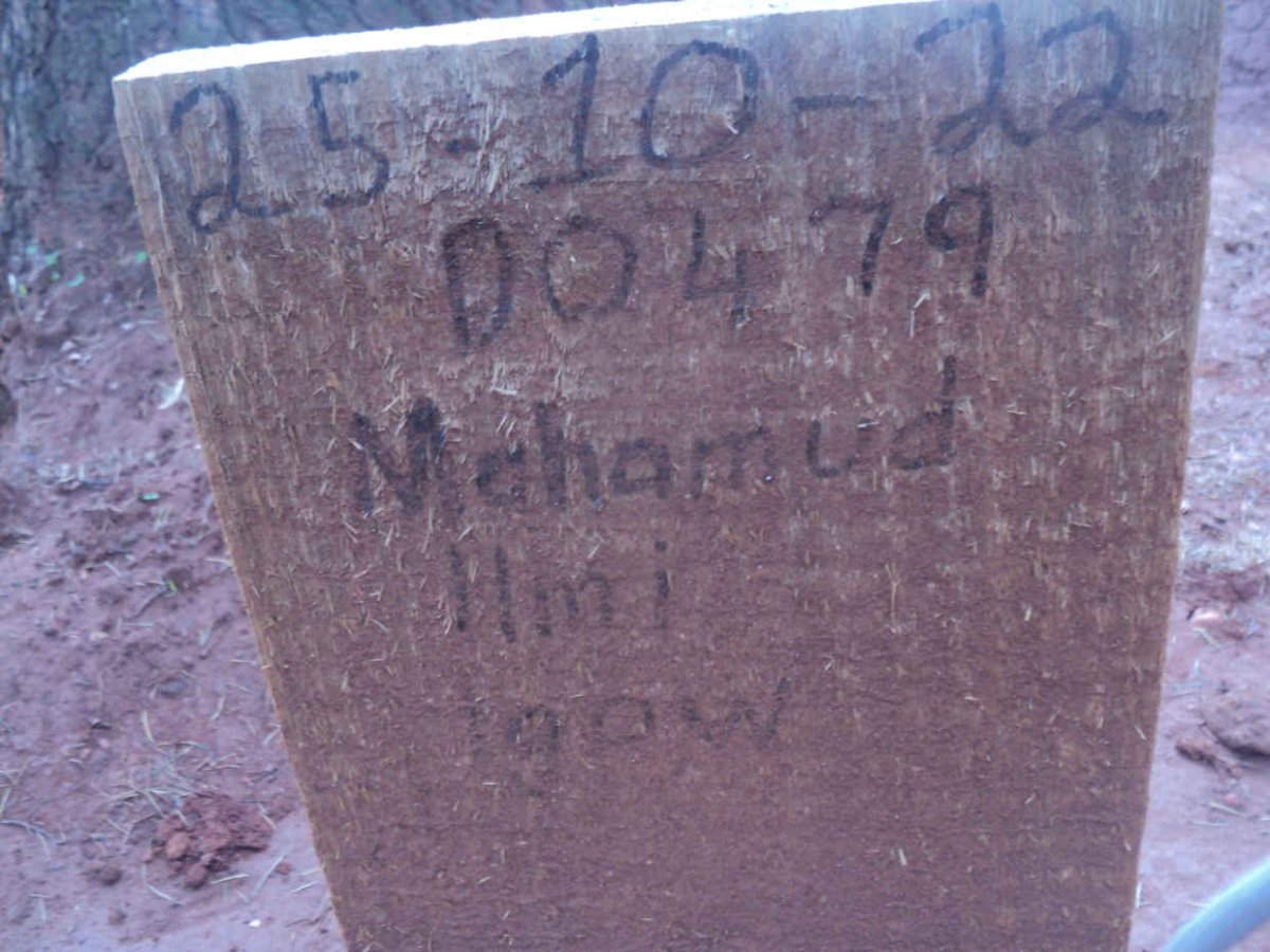 IGOW Mahamud Ilmi -2022