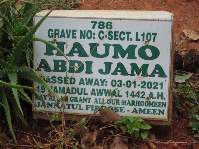 JAMA Haumo Abdi -2021